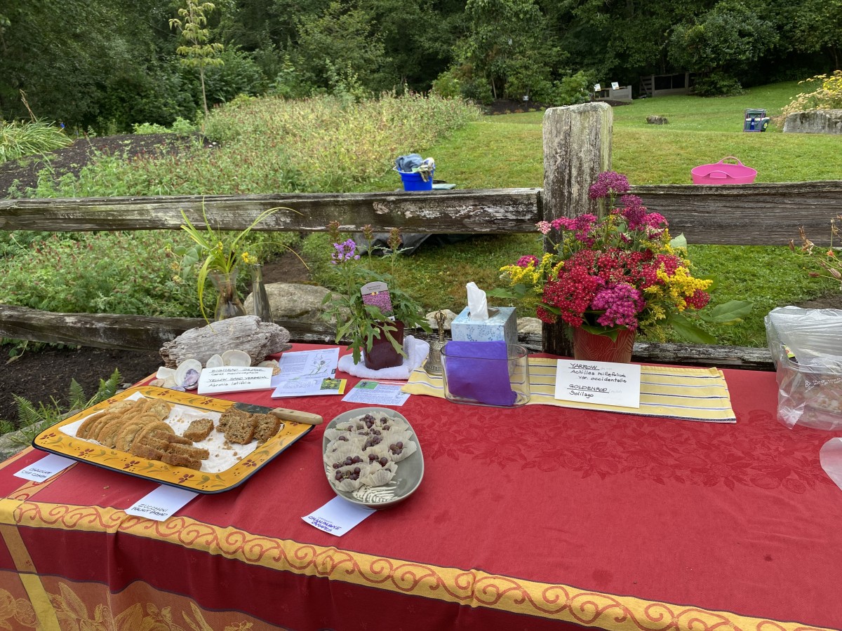 Summer: Flowers and goodies at break during a work party