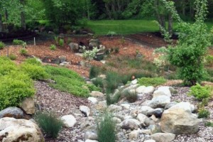 Dry or seasonal streambed in the Buck Lake Native Plant Garden Dry or seasonal streambed in the Buck Lake Native Plant Garden